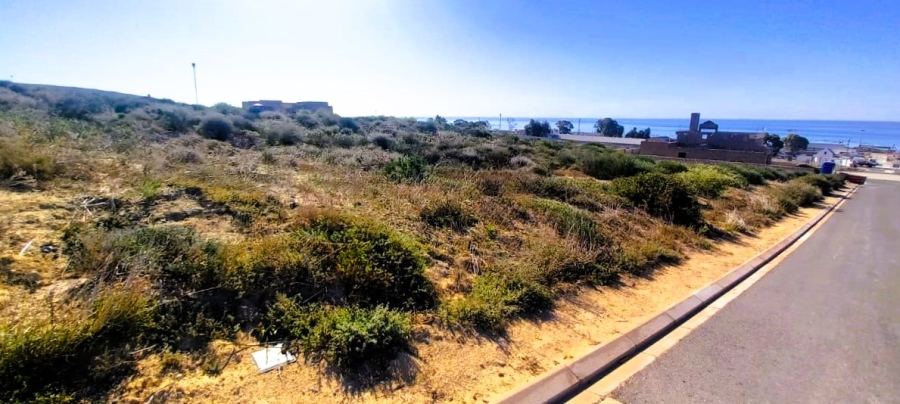 0 Bedroom Property for Sale in Steenbergs Cove Western Cape